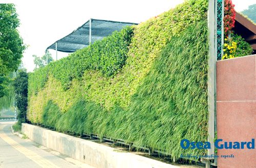 欧西四维建筑防护助力城市立体绿化